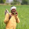 Happy smiling rural indian farmer with turban carrying a hoe on shoulder and talking on smartphone while standing in the middle of growing green agriculture wheat field at day time.